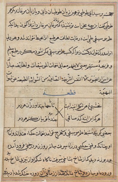 Seite aus Geschichten eines Papageis (Tuti-nama): Textseite von Unknown artist