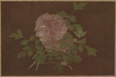 Pfingstrosen von Unknown artist