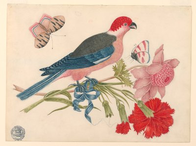 Rosa, roter, blauer und schwarzer Vogel auf Zweig mit Blüten und Schmetterlingen von Unknown artist