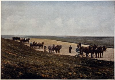 Pflügen in den Manitoba-Ebenen (Kanada), Ende 19. Jahrhundert von Unknown artist