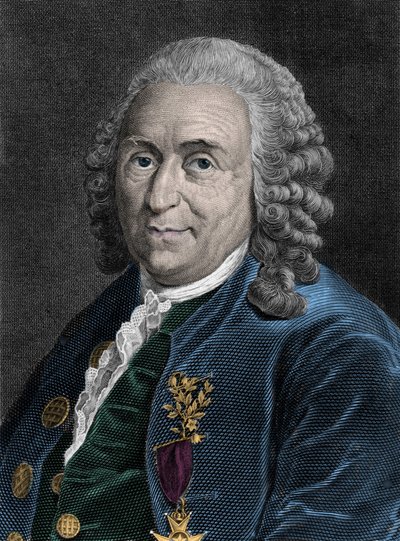 Porträt von Charles Linne (Carl von Linne, Linneus 1707-1778), schwedischer Naturforscher. Gravur des 19. Jahrhunderts von Unknown artist