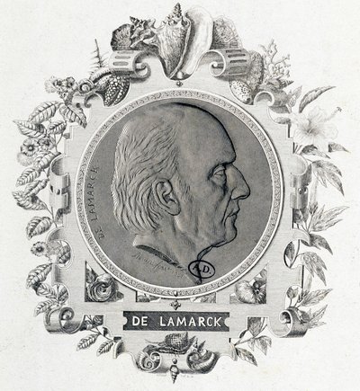 Porträt von Jean Baptiste Lamarck - Gravur von Unknown artist