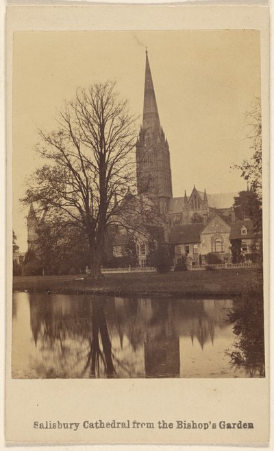 Kathedrale von Salisbury vom Garten des Bischofs von Unknown artist