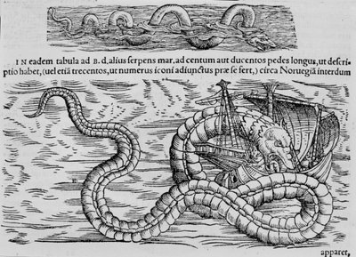 Seeschlange, Meereskreatur nach Conrad Gesner von Unknown artist