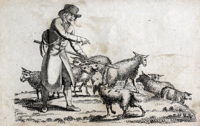 Schäfer mit seiner Schafherde. Gravur späte 18. Jahrhundert. Private Sammlung. von Unknown artist