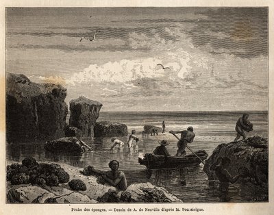 Schwammfischen durch die Inselbewohner von Anastasia Island, bei Ebbe, Frauen und Kinder sammeln unter den Felsen und Männer fahren mit Kanus hinaus, um sie vom Meeresgrund zu bergen. Gravur zur Illustration der Geschichte "Vier Monate in Florida", von Ach von Unknown artist