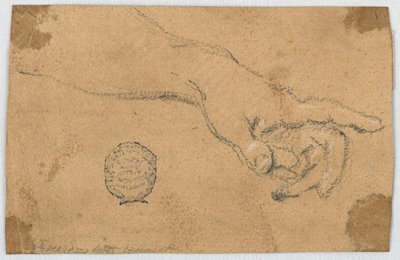 Studie: Ein ausgestreckter linker Unterarm und Hand von Unknown artist