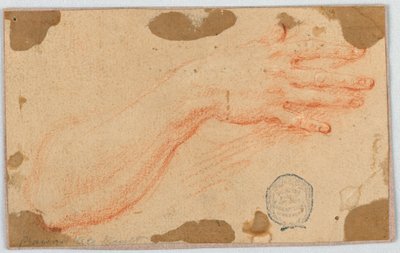 Studie für den rechten Unterarm und die Hand einer Frau von Unknown artist