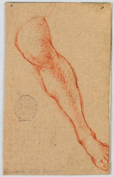Studie des linken Beins einer sitzenden Frau von Unknown artist