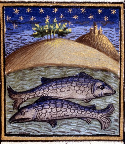 Die Fische. Miniatur eines Horoskops. Manuskript aus dem 15. Jahrhundert. Bibl. Trivulziana, Mailand von Unknown artist