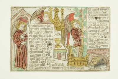 Die Weinlese der Trauben des Weinstocks, aus der Blockbuch-Apokalypse von Unknown artist