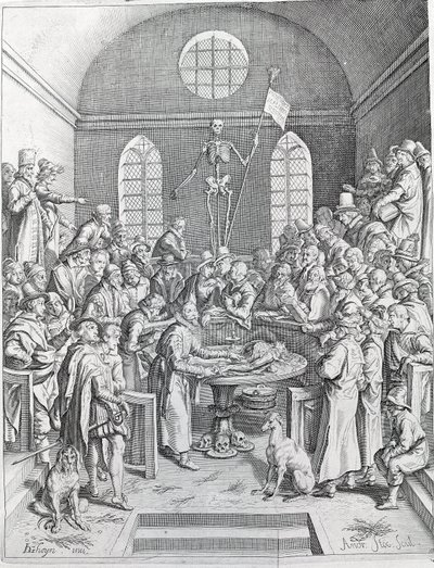 Die Sektion. Gruppe von Ärzten und Wissenschaftlern versammelt, um eine Sektion in einem Amphitheater zu verfolgen. Gravur von 1788 von Unknown artist