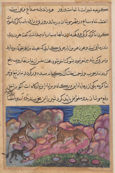 Der Wolf rät dem Löwen, die Katze zu konsultieren, aus einem Tuti-nama (Geschichten eines Papageis): Fünfzehnte Nacht von Unknown artist