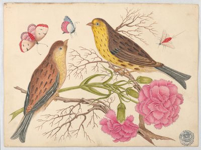 Zwei braun-gelbe Vögel auf Zweigen mit Nelken und Insekten von Unknown artist