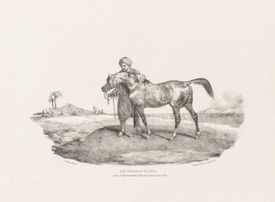 Verschiedene Motive aus dem Leben und auf Stein: Ein arabisches Pferd von Unknown artist