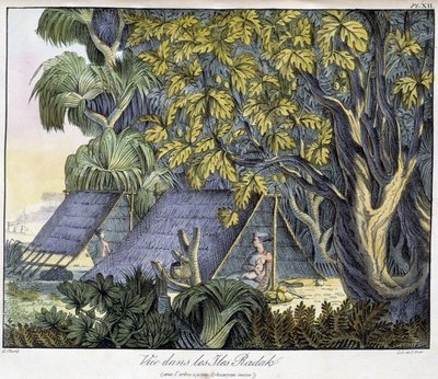 Ansicht der Radack-Inseln von Unknown artist