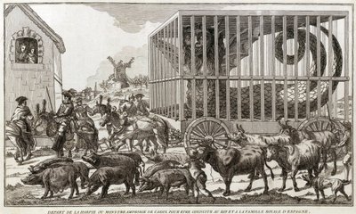 Zoomorphismus - Karikatur gegen Marie-Antoinette - Abgereist vom Harpyien- oder Amphibienmonster von Cadiz, um zum König und zur königlichen Familie von Spanien gebracht zu werden: Dieses Tier wurde an den Ufern des Sees Fagua gefangen - 1784 - von Unknown artist