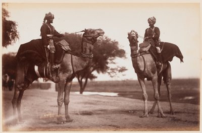 Kamelreiter im Delhi Übungslager von Unknown photographer