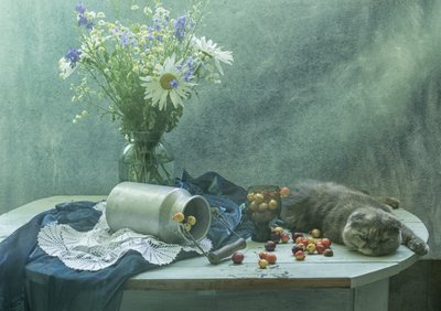 Schlafende Katze und Kirschen von UstinaGreen