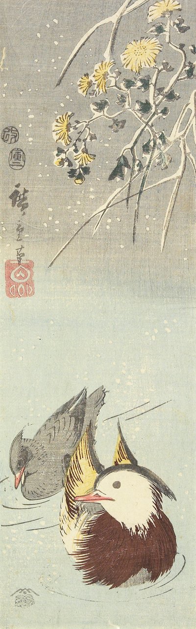 (Chrysantheme und Mandarinenten), Februar 1854 von Utagawa Hiroshige