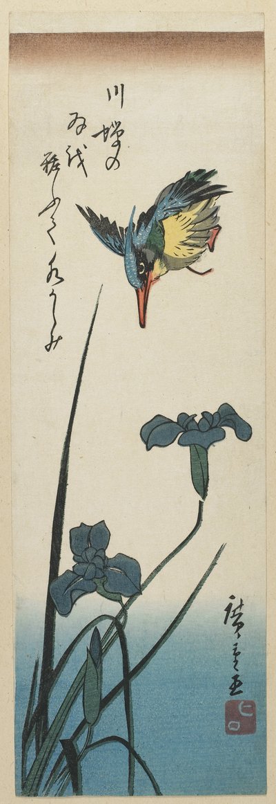 (Iris und Eisvogel), 1843-1847 von Utagawa Hiroshige