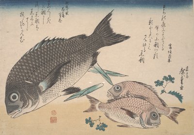 Schwarzer Seebrassen, kleiner Seebrassen, Spargeltriebe und Sansho-Pfeffer, ca. 1830 von Utagawa Hiroshige