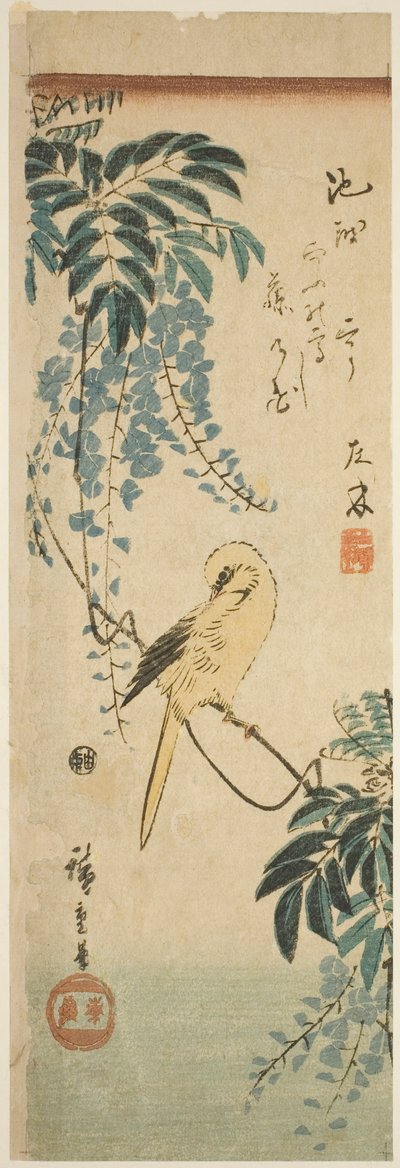 Kanarienvogel und Glyzinien von Utagawa Hiroshige