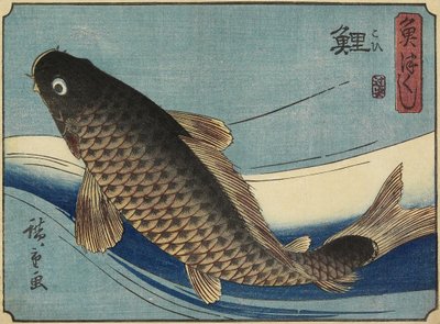 Karpfen, 1830-1844 von Utagawa Hiroshige
