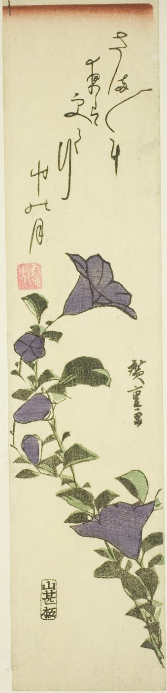 Chinesische Glockenblumen von Utagawa Hiroshige