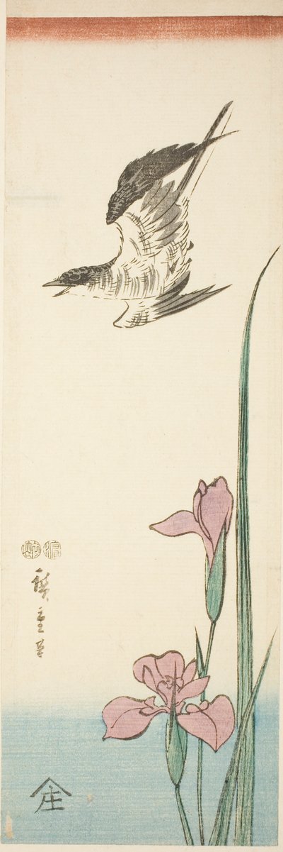 Kuckuck und Iris von Utagawa Hiroshige