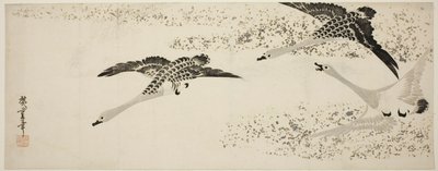 Absteigende Gänse von Utagawa Hiroshige