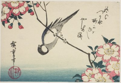 Kohlmeise auf Kirschblütenzweig von Utagawa Hiroshige