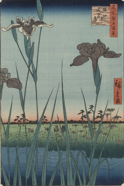 Schwertlilien von Horikiri, aus der Serie Einhundert berühmte Ansichten von Edo von Utagawa Hiroshige