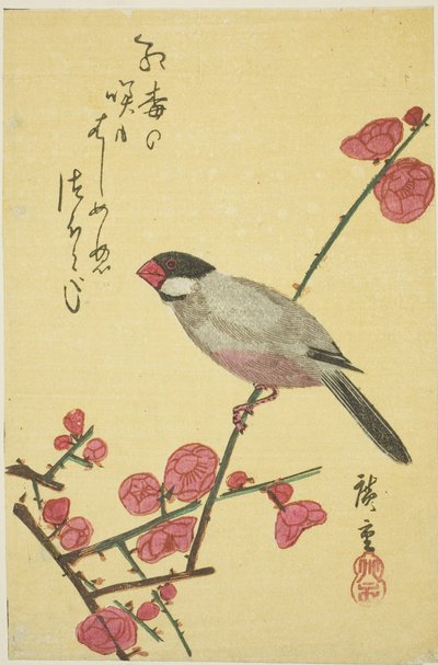 Java-Spatz auf einem Pflaumenzweig von Utagawa Hiroshige