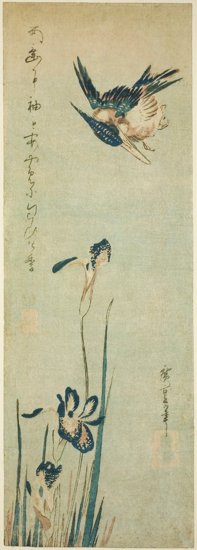 Eisvogel und Iris von Utagawa Hiroshige