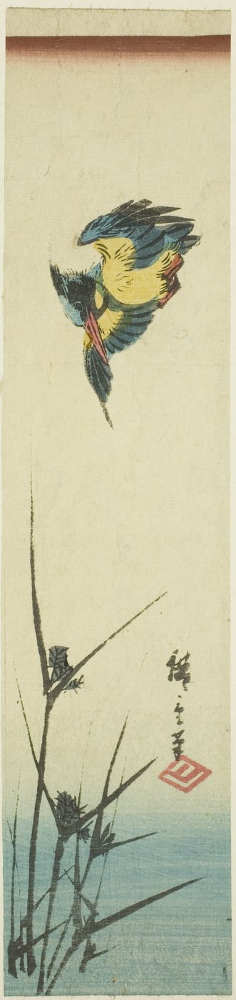 Eisvogel und Schilf von Utagawa Hiroshige