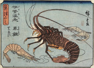 Hummer, Garnele und Shrimps, 1830-1844 von Utagawa Hiroshige