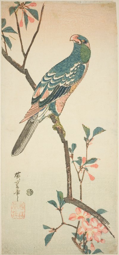 Papagei auf einem blühenden Ast von Utagawa Hiroshige