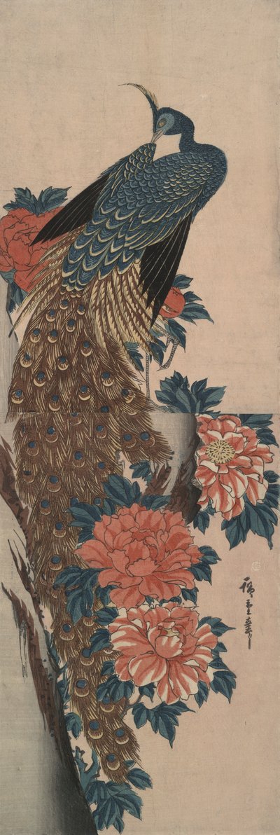 Pfau und Pfingstrosen von Utagawa Hiroshige