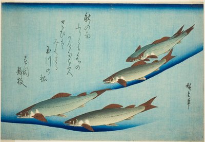 Bachforelle von Utagawa Hiroshige