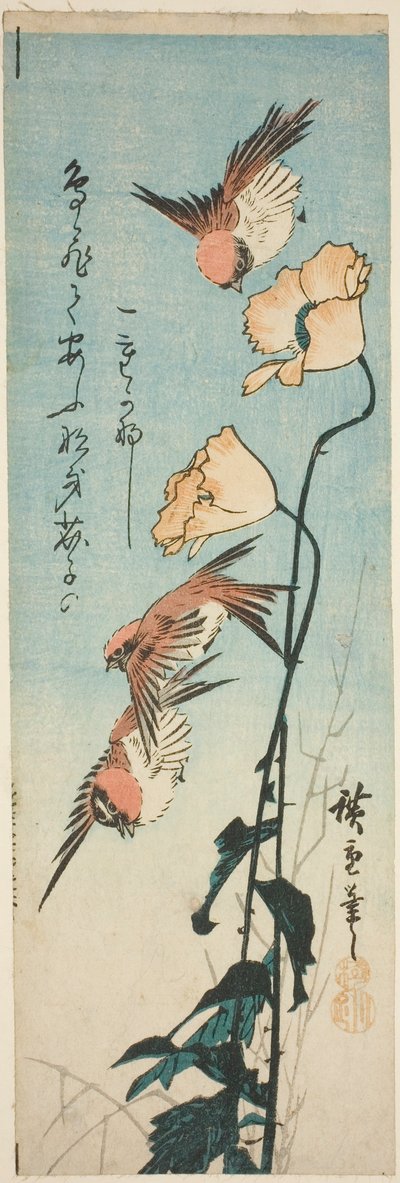 Spatzen und Mohnblumen von Utagawa Hiroshige