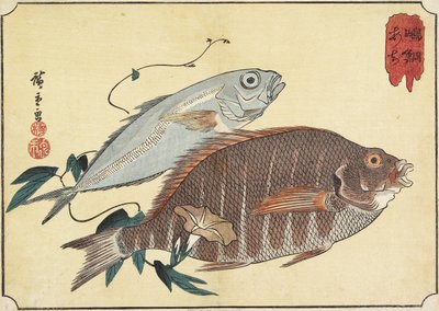 Gestreifter Schnapper und Pferdemakrele, frühes 19. Jahrhundert von Utagawa Hiroshige