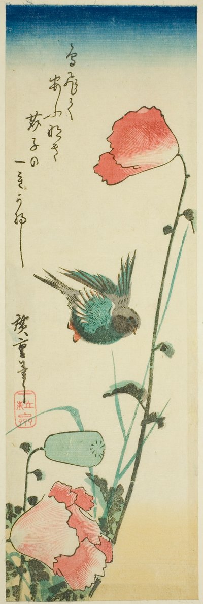 Schwalbe und Mohnblumen von Utagawa Hiroshige