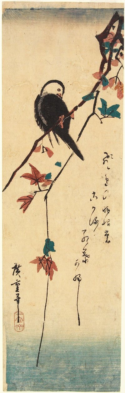 Weißköpfiger Vogel auf Ahornzweig von Utagawa Hiroshige