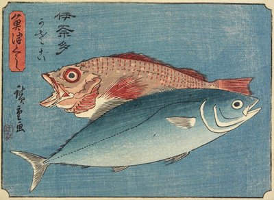 Gelbschwanz und Felsenfisch, 1830-1844 von Utagawa Hiroshige