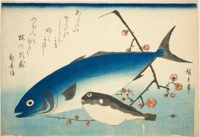Gelbschwanz, Kugelfisch und Pflaumenzweig von Utagawa Hiroshige