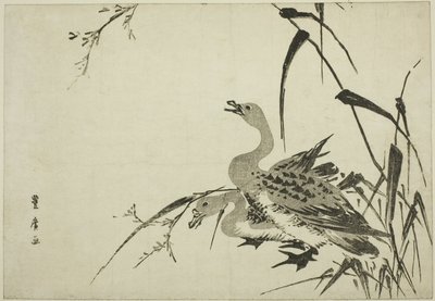 Wildgänse und Schilf von Utagawa Toyohiro