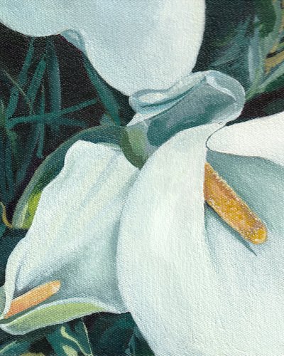 Elegante Calla-Lilien von Viccy Wanliss