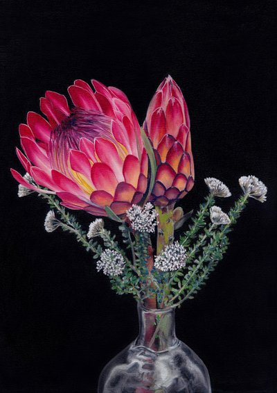 Protea und Blombos von Viccy Wanliss von Viccy Wanliss