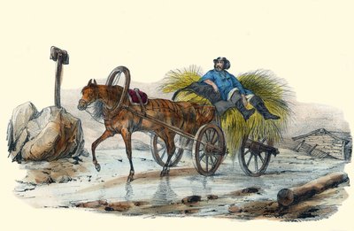 Le Paysan Russe. in Album Grotesque, Choices of Outstanding Types, Illustrationen von Victor Adam, Paris, um 1850 von Victor Adam